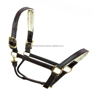 Licol de cheval en cuir véritable à double pli triple couture avec coutures fantaisie et rembourrage blanc en laiton massif - Product Image 6