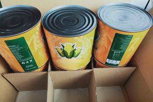 Maíz dulce amarillo brillante enlatado en latas metálicas esterilizadas para un stock confiable en la despensa y pedidos al por mayor - Product Image 3