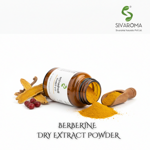 Extrait sec botanique standardisé de berbérine en poudre, ingrédients naturels pour la fabrication de produits alimentaires et de bien-être - Product Image 4