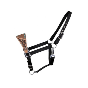 Top Trending Adjustable Black Nylon Rope <b>Halter</b> With Leather Nose & Buck Stitch Work Top Supplier Wholesale Manufacturer - Product Image 5