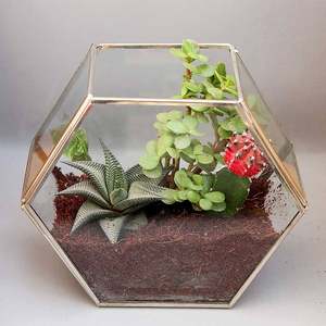Terrario Pequeño de Metal y Vidrio de Alta Calidad, Decoración para el Hogar, Fabricante Mayorista, Macetas para Suculentas y Flores, Contenedores para Manualidades - Product Image 1