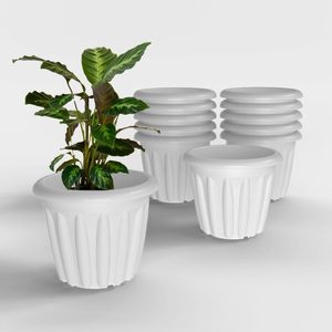 ZARA ENTERPRISES ZE4033 Juego de 12 Macetas de Plástico Resistentes de 12 Pulgadas, Diseño Bonito para Hogar, Jardín y Plantas de Semillero (Blanco) - Product Image 1