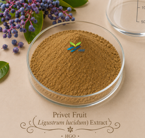 Approvisionnement direct d'usine HGO d'extrait de fruit privé naturel pur (Ligustrum lucidum) (qualité alimentaire) spécification 10:1 - Product Image 1