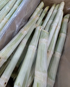 Caña de azúcar congelada cortada en trozos – fresca, dulce y lista para beber, procedente de Vietnam - Product Image 2