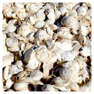 ยางคัพเกรดพรีเมียม วัตถุดิบธรรมชาติสำหรับการผลิตยางรถยนต์และสายพานลำเลียง - Product Image 2