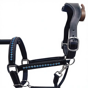 Harnais en cuir pour cheval, design élégant, harnais anatomique en cuir véritable, fabrication sur mesure de harnais de dressage en cuir véritable. - Product Image 1