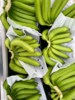 Vietnam Verse Cavendish Bananen Zorgvuldig Geselecteerd Voor Export Zoet En Voedzaam Ideaal Voor De Detailhandel En Foodservice