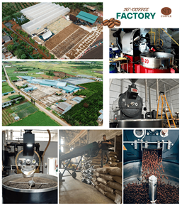 กาแฟดาร์กโรสต์ เมล็ดกาแฟอาราบิก้า โซลูชั่นฉลากส่วนตัว ขายส่งจำนวนมาก B2B - Product Image 3