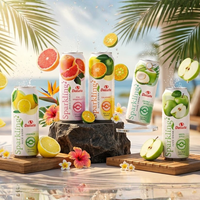 Eau gazeuse faible en gras 100% jus de fruits 330ml saveur fruitée pour l'été – Vente en gros OEM ODM