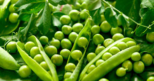 Petits pois verts frais surgelés IQF, qualité supérieure, récoltés en ferme, naturels et sucrés, fournisseur en gros pour l'industrie alimentaire, qualité export - Product Image 5