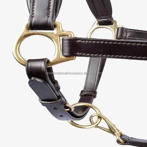 Cabestro de caballo de cuero negro hecho a mano con logotipo en relieve, estilo occidental anatómico duradero para carreras en inglés, caballo Halter personalizado - Product Image 5