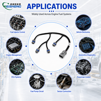 Harness Kabel Injektor Bahan Bakar Otomotif Kustom dengan Selubung Anyaman dan Konektor Delphi/AMP untuk Sistem Mesin