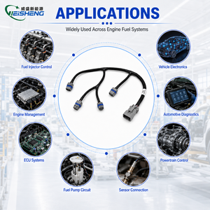 Faisceau de câblage personnalisé pour injecteurs de carburant automobiles avec gaine tressée et connecteurs Delphi/AMP pour systèmes moteur - Product Image 2