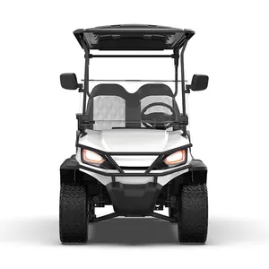 Club Car Electric Golf Buggy Best Remote Control Golf Buggy Catalina Island Golf Cart