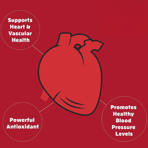 OEM ODM Ubiquinol CoQ10 Gélules Molles Force Maximale Forme Active de Coenzyme Q10 Complément Alimentaire - Product Image 4