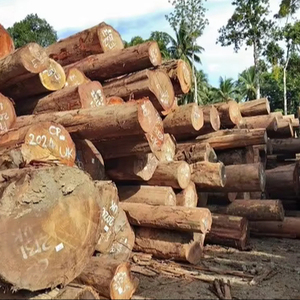 Bois de santal noir sauvage brut, rond, de qualité supérieure, pureté 100%, à vendre - Product Image 1