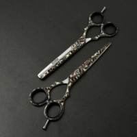 Ciseaux professionnels pour laisser des mèches de cheveux à la vue, IZARSA, 32 dents, acier inoxydable, lame tranchante, sécurité, manche long, pour droitiers, usage en salon
