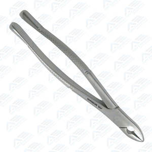 Fórceps de Extracción Duraderos para Dientes Anteriores Superiores, Instrumentos Quirúrgicos Dentales, Extracción de Dientes Incisivos Superiores - Product Image 2