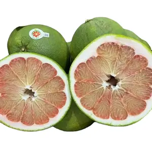 SHOCK Price BEN TRE GREEN SKIN GRAPEFRUIT/ POMELO with GREEN SKIN AND PINK FLESH