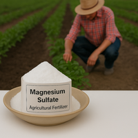 Sulfate de magnésium de sel Hwangsan Magnésium Magnésiumsulfat Sulfate de magnésium 7487-88-9