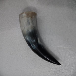 Cuerno para beber OX pequeño de alta calidad 100%, cuerno medieval pulido blanco corto, regalo herencia, al precio más bajo - Product Image 5