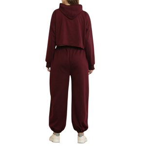 Precio de Fábrica OEM Personalizado, Conjunto Deportivo de Invierno para Mujer, Informal, de Algodón y Felpa, Top Corto de Alta Calidad - Product Image 2