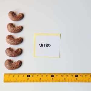 Free Wholesale 500g Organic Roasted Salted Premium Vacuum Pack Dong Phu Brand ISO Certified 12-Month Shelf Life Cashew <b>Nuts</b> W180 - Product Image 2