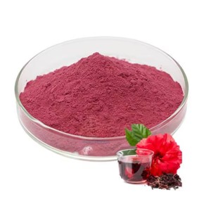 Polvo de Flor de Hibisco 100% Puro OEM para Mascarilla Facial y Capilar, Polvo Natural de Hibisco Rosa-Sinensis para el Cuidado del Cabello y la Piel - Product Image 3
