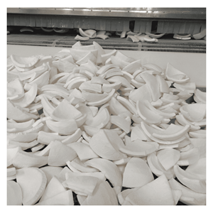 Noix de coco surgelée IQF, issue de chair de noix de coco de qualité supérieure, pour smoothies, garnitures et préparation de desserts, origine Vietnam. - Product Image 5