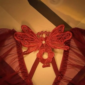 Strings noirs en dentelle de coton taille basse avec broderie papillon, tricotés sans couture, lingerie romantique pour femme - Product Image 3