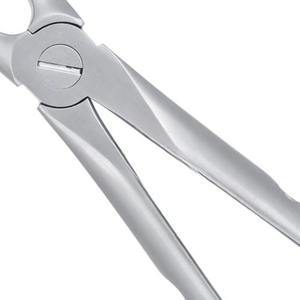 DERMISPRO INSTRUMENTS DPI-57 Pinzas de Extracción Manual Atraumática para Incisivos Superiores Apicales, Instrumento Quirúrgico Dental de Acero Inoxidable - Product Image 5