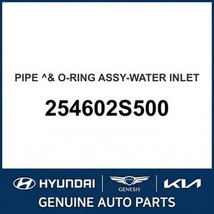 แกรนด์เออร์/อาเซร่า ปะเก็นและซีลใหม่ 254602S500 - Product Image 1