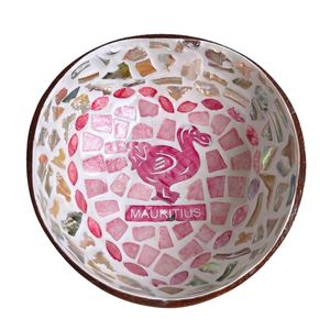 Tazón de Cáscara de Coco Más Vendido, Tazones de Coco al por Mayor, Gran Cantidad, Directo de Fábrica, Precios Económicos, Natural - Product Image 1