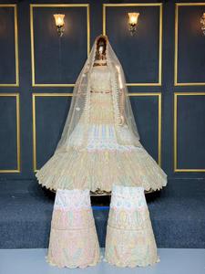 Lehenga choli de mariée entièrement orné, avec un riche travail de jarkan, un style de ceinture robuste et une grande élégance. - Product Image 2