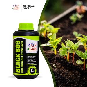 Stimulant biologique GDM Black BOS pour l'amélioration des sols, le développement des racines et l'agriculture durable - Product Image 2