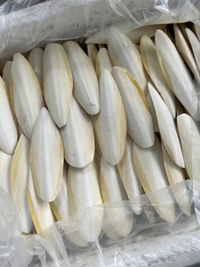 Hueso de Sepia Blanco Natural de Vietnam para Nutrición de Aves de Compañía y Suplemento de Calcio para Exportación - Product Image 5