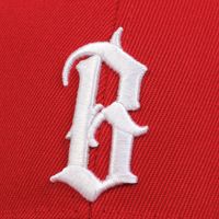 Gorra de Béisbol Deportiva con Visera Curva, 6 Paneles, Impermeable, con Cierre a Presión, Bordado de Logotipo Personalizado OEM, Diseño Sublimado de Leopardo