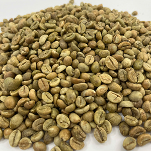 Granos de Café Verde Robusta de Vietnam S18 95% Maduros, Procesados en Seco, Grado de Exportación, Venta al por Mayor a Granel, OEM/ODM Disponible - Product Image 2