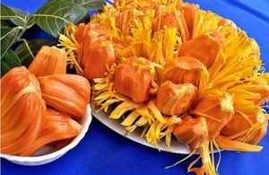 สินค้าขายดี - ขนุนแช่แข็งเกรดพรีเมียมสำหรับส่งออก - Product Image 3