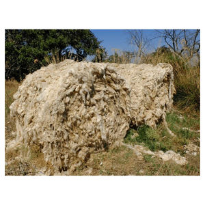 Fibra de lana de oveja limpia para la industria textil de teñido, hilado, tejido y confección, gran suministro. - Product Image 1