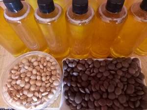 El mejor proveedor Aceite de Sacha Inchi 100% Aceite de Sachi Inchi Natural/Lima - Product Image 3