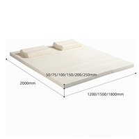 Matelas Orthopédique en Latex Naturel Écologique 10 cm d'Épaisseur Fonction Massage Respirant Confortable Soutient le Sommeil Chambre Appartement