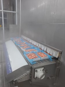 Tôm Vannamei nguyên con nấu chín đông lạnh chất lượng cao, giá tốt nhất tại Việt Nam - Product Image 6