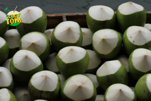 มะพร้าวน้ำหอมสด คุณภาพส่งออกระดับโลก จำหน่ายจำนวนมาก - Product Image 3