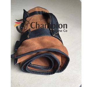Juego de 12 Herramientas para el Cuidado de Pezuñas de Caballos - Kit Profesional para el Cuidado Equino con Estuche de Cuero - Product Image 6
