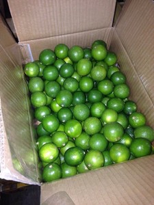 Limón Verde Fresco Sin Semillas de Primera Calidad |   Cítricos 100% Naturales con Pulpa Jugosa para Procesamiento de Jugos y Alimentos |   Marca Blue Lotus - Product Image 6