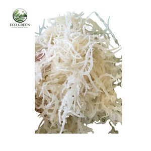 Mousse de mer séchée en vrac, mousse irlandaise premium, algues naturelles biologiques pour la fabrication de gels, smoothies, compléments alimentaires, alimentation - Product Image 4