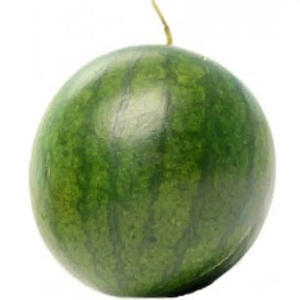 Meilleur <span class=keywords><strong>Prix</strong></span> Vietnam Pastèque Rouge à Pulpe Rouge et Peau Rayée Entièrement Mûre 25kg Fruit Entier Vente en Gros Exportation - Product Image 2
