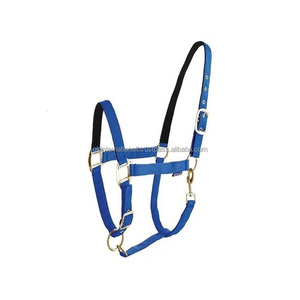 Harnais de cheval en nylon personnalisé de 25 mm, rembourré et doux, pour l'équitation western, collier de tête pour l'extérieur et l'écurie, en nylon, aux couleurs vives - Product Image 1