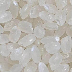 ข้าวญี่ปุ่นแท้ พรีเมียม ขัดสี เนื้อแข็ง บรรจุถุง 50 กก. ผลิตในเวียดนาม ปลอดจีเอ็มโอ ข้าวหักงอก ยี่ห้อ IIglobal - Product Image 1